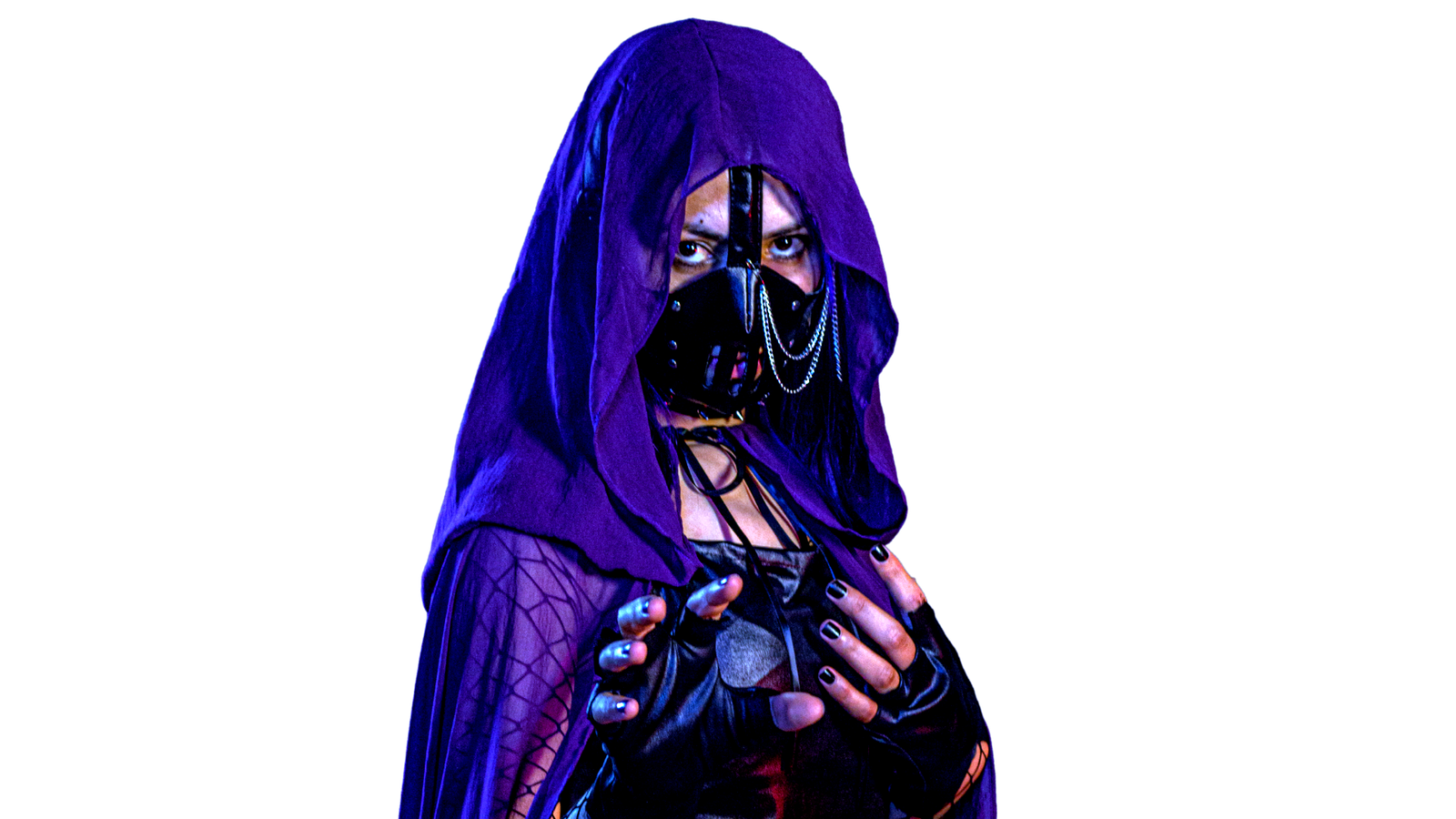 Black Raven